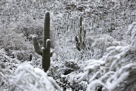 10-day forecast tucson arizona|snow in tucson today.